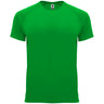 Verde felce