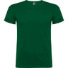 Verde bottiglia
